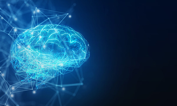 Your brain on purpose: the neuropsychology of leadership | Truist Leadership Institute